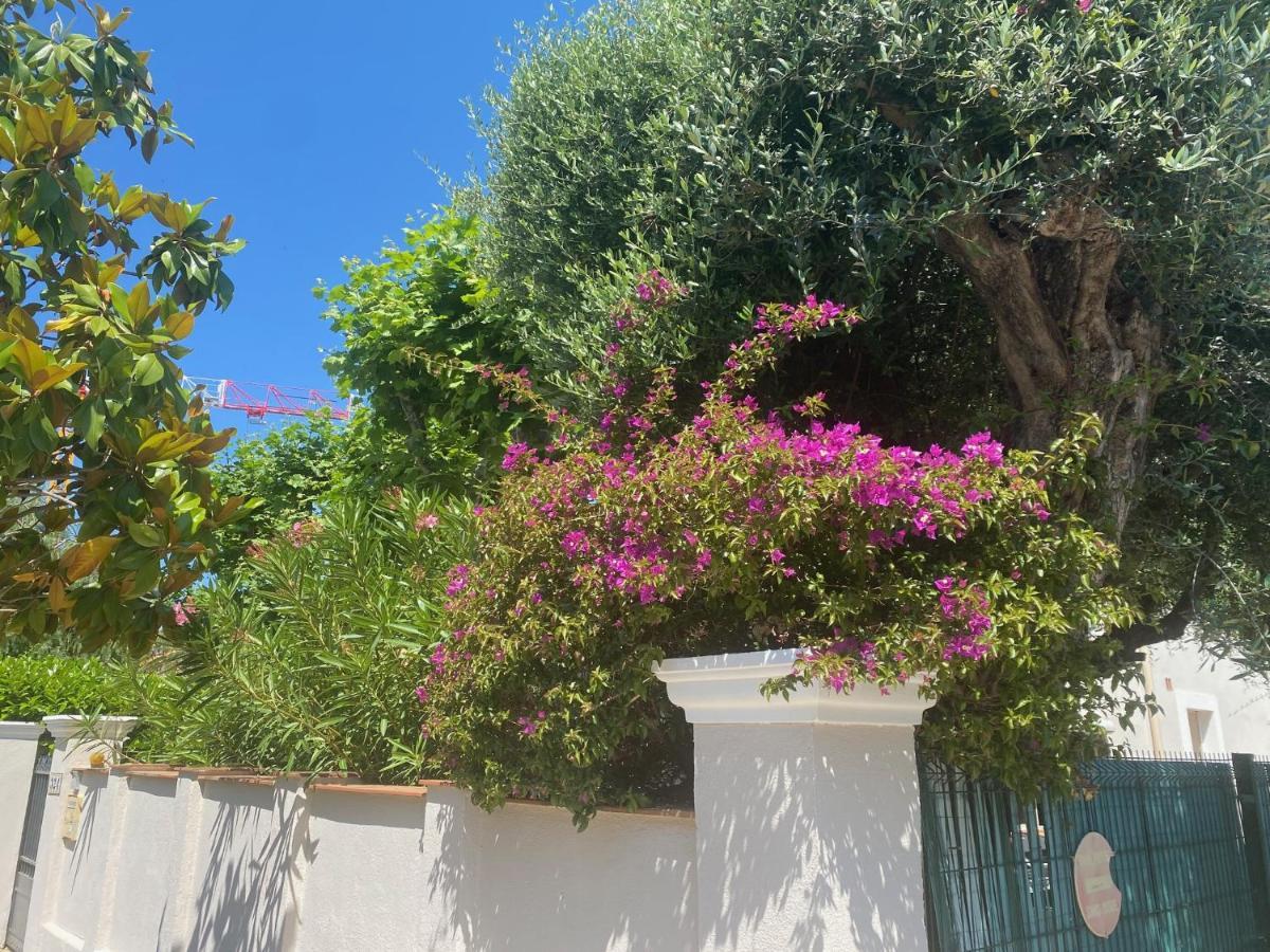 Arche De Portissol Sanary Appartement De Charme 4 A 6 Personnes Buitenkant foto